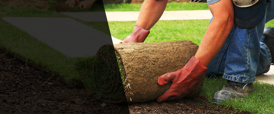 Hampden Landscapers